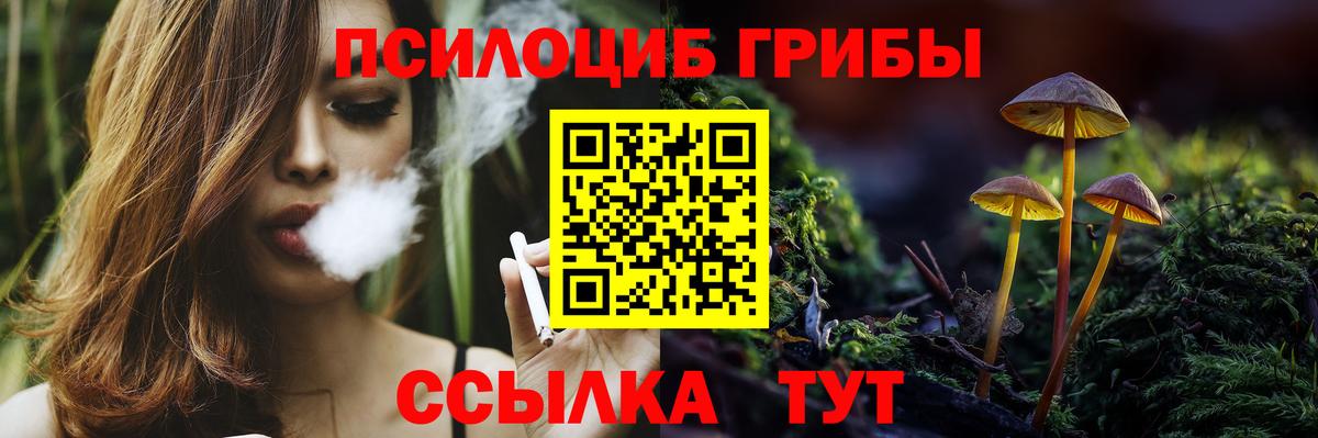 Галлюциногенные грибы Cubensis Шатура